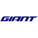 Hersteller: Giant