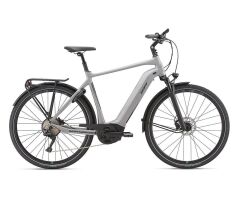 GIANT ANYTOUR E+ 0 GTS E-Bike Trekking 2020 | Solidgrey