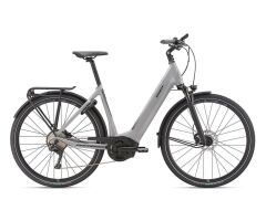 GIANT ANYTOUR E+ 0 LDS E-Bike Tiefeinsteiger 2020 |...