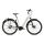 GIANT DAILYTOUR E+ 1 BD LDS E-Bike Tiefeinsteiger 2020 | Arcticwhite