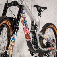 Riesel Design frameguard x protection