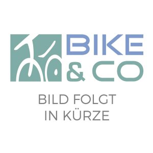 SHIMANO RITZEL 19 ZÄHNE SILBER SM.GEAR NEXUS