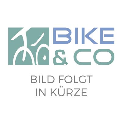 SHIMANO RITZEL 20 ZÄHNE SILBER SM-GEAR NEXUS