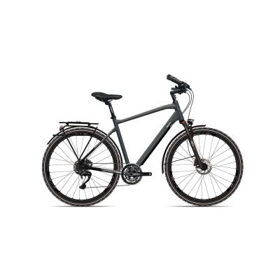Giant AnyTour RS 1 Trekkingrad 2020 | Metalliccharcoalgrey-Black-Reflectivesilver