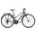 Liv Alight City Damen Trekkingrad 2020 | Charcoalgrey
