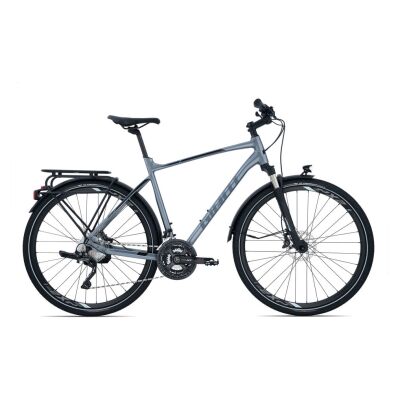 GIANT AllTour SLR 0 Trekkingrad 2020 | Grey Anodized Brushed-Gloss