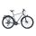 GIANT AllTour SLR 0 Trekkingrad 2020 | Grey Anodized Brushed-Gloss