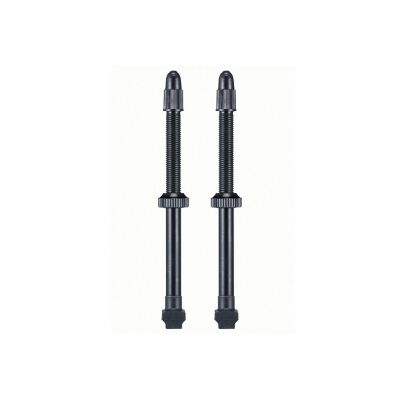 GIANT Tubeless Ventil Set 65