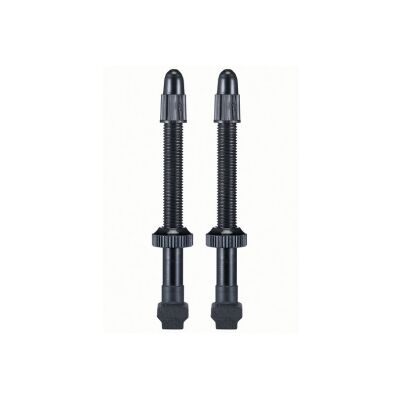 GIANT Tubeless Ventil Set 42