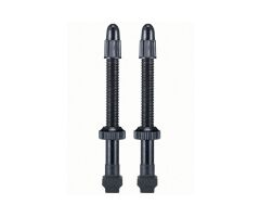 GIANT Tubeless Ventil Set 42