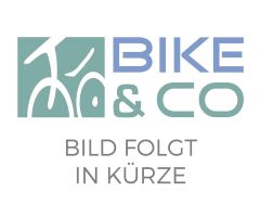 SHIMANO SCHALT-UND LEITROLLENSATZ RD-M8100