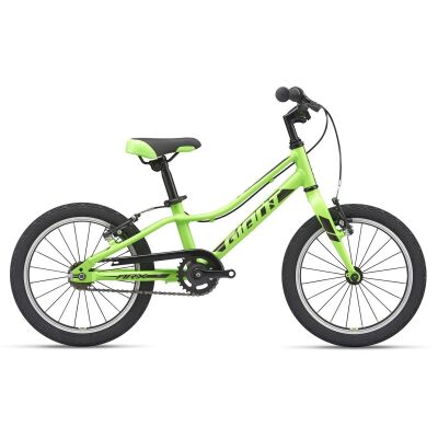 Giant ARX 16 Kinderrad 2021 | green