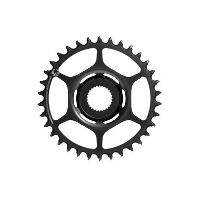 SRAM X-Sync Kettenblatt E-MTB 2 Eagle Kettenblatt E-MTB 36T, Stahl, schwarz, Boost148 für Bosch Antriebe