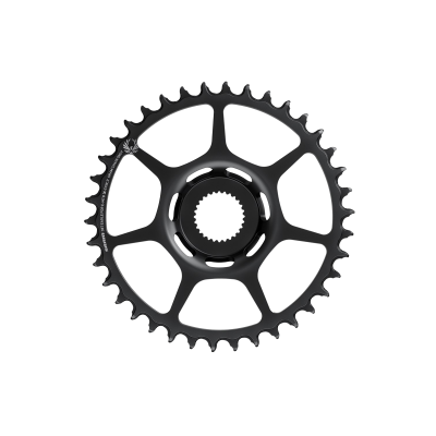 SRAM X-Sync Kettenblatt E-MTB 2 Eagle Kettenblatt E-MTB 38T, Stahl, schwarz, für Bosch Antriebe