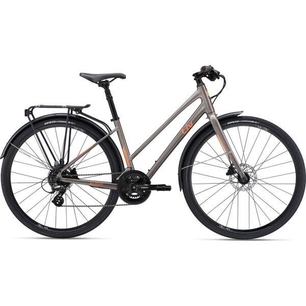 Liv Alight Citybike 2024 | metal