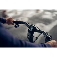 GIANT DailyTour E+ 3 Sport 500Wh LDS City E-Bike 2025 | Rosewood