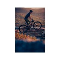 GIANT Trance Advanced Pro 1 29er Fully 2022 | Carbon / Black Diamond