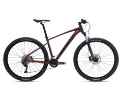 GIANT Talon 1 MTB 2025 | Hematite