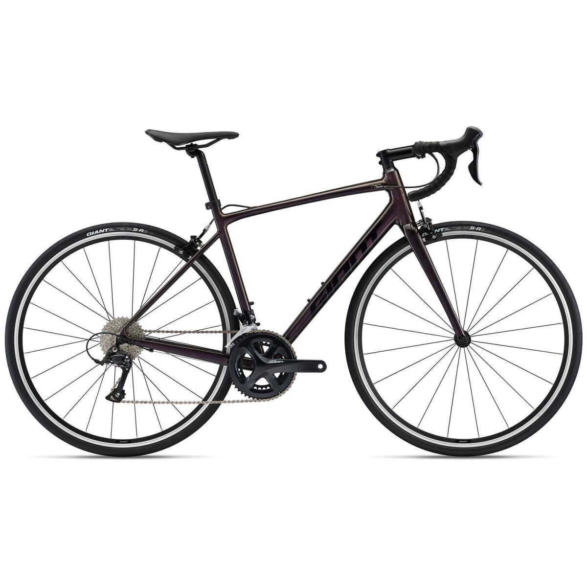Giant Contend 1 All-Rounder Rennrad in Rosewood  Vielseitiges und ko,  999,00