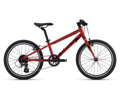 GIANT ARX 20 Kinderrad 2025 | Grenadine