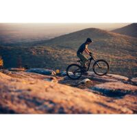 GIANT Trance Advanced Pro 1 29er Fully 2022 | Carbon / Black Diamond L