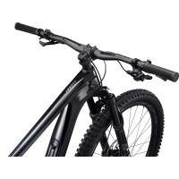 GIANT Trance Advanced Pro 1 29er Fully 2022 | Carbon / Black Diamond L