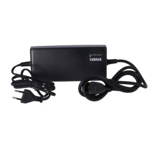 Yamaha Akku Ladegerät 500Wh Intube ab 2019 4A