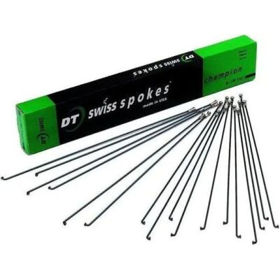 DT Swiss Speiche DT Champion schwarz schwarz 2 x 286 mm