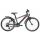 Bulls Pulsar Street 20" 6-Gang Mountainbike | Jungen | 2019 | grau