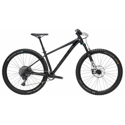 Bulls Copperhead Trail RS 29" 12-Gang Mountainbike | Herren | 2019 | schwarz matt | 40 cm