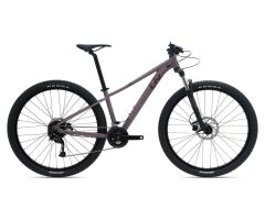 Liv Tempt 3+ Damen MTB 2024 | purple ash matt 29"/S