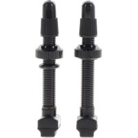 Giant Light Weight Tubless Ventil 60mm 2x