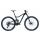 GIANT TRANCE 29 1 MTB Fully 2020 | Rainbowblack / Solidblack Gloss-Matt