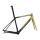 GIANT TCR ADVANCED SL TEAM RAHMENSET Rennrad 2020 | Carbon Smoke / Championgold