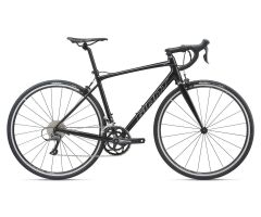 GIANT CONTEND 3 Rennrad 2020 | Metallicblack