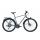 GIANT ALLTOUR SLR 0 Trekkingrad 2020 | Grey Anodized Brushed-Gloss