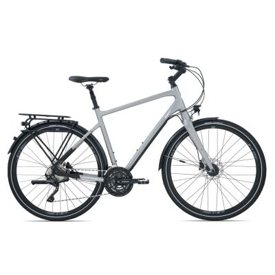 GIANT ANYTOUR RS 2 Trekkingrad 2020 | Magnesiumgrey Matt