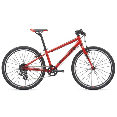 GIANT ARX 24 2020 | Purered