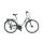 KTM LIFE JOY E Trekkingrad 2020 | silver matt (black)