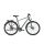 KALKHOFF ENDEAVOUR 8 Diamond Trekking Fahrrad 2021 | techgreen matt