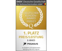 Pegasus Opero EVO 5F Di2 NL DA E-City 28"Vorführrad Wave Gang Nabenschaltung mit Freilauf platinium grey matt 555Wh E-Bike | 2020