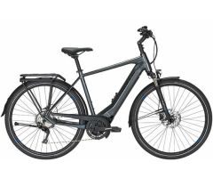 BULLS Lacuba EVO 10 HE E-Trekking 28" Diamant Gang Kettenschaltung grey 750Wh E-Bike | 2020