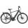 BULLS Lacuba EVO 10 HE E-Trekking 28" Diamant Gang Kettenschaltung grey 750Wh E-Bike | 2020