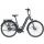 Pegasus Opero EVO 5F Di2 NL DA E-City 28" Wave Gang Nabenschaltung mit Freilauf platinium grey matt 750Wh E-Bike | 2020 | 45 cm