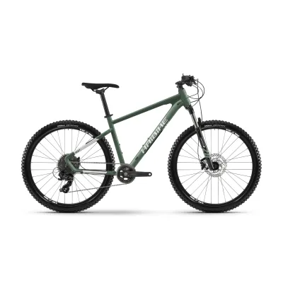 Haibike Seet 6 29 Zoll21-G Tourney 2021 | bamboo green/cool grey matt
