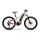 Haibike HardFour 400Wh E-Bike 9-G Altus 2021 | cool grey/red/cyan | XS