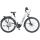 KTM MACINA TOUR CX 610 US E-Bike Trekkingrad 2021 | metallic white (grey+golden green)