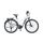 KTM CENTO 11 PLUS D E-Bike Trekkingrad 2021 | white matt (black+red)