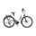 KTM CENTO 11 PLUS US E-Bike Trekkingrad 2021 | white matt (black+red)