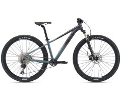 Liv Tempt 0 Damen MTB Hardtail 2021 | dark iridescent /...